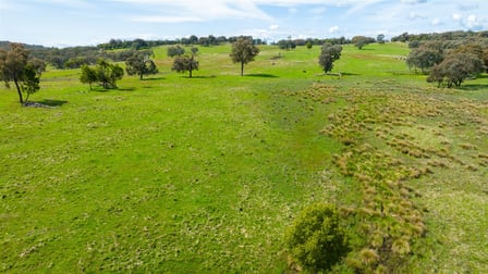 Springardo Sanderson Road Springhurst VIC 3682 - Image 2