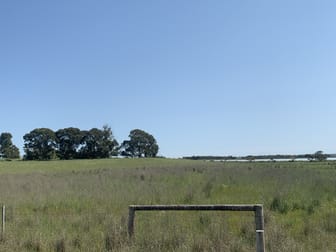 LOT 1141 Lucindale Road Naracoorte SA 5271 - Image 1