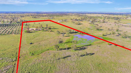 478 Dargal Road Roma QLD 4455 - Image 2