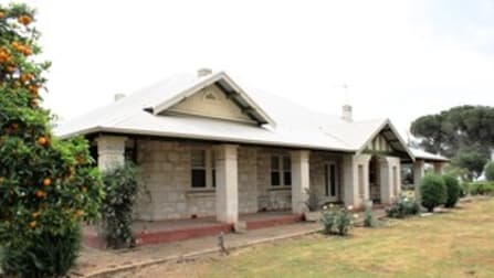12020 Riddoch Highway Naracoorte SA 5271 - Image 1