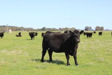12020 Riddoch Highway Naracoorte SA 5271 - Image 2
