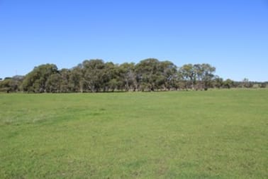 12020 Riddoch Highway Naracoorte SA 5271 - Image 3