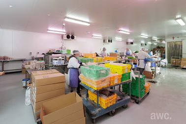 828 Ramsden Drive North Albury NSW 2640 - Image 2
