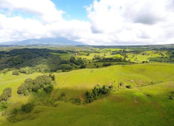 343 Gadaloff Road Butchers Creek QLD 4885 - Image 3