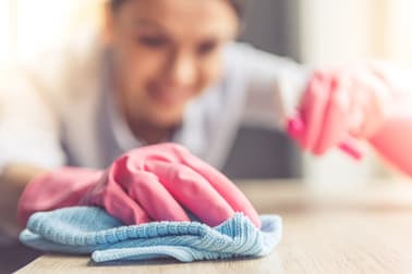 Cleaning Services  business for sale in Maroochydore - Image 2