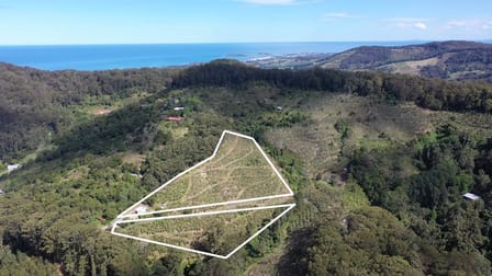 321 Gaudrons Road Sapphire Beach NSW 2450 - Image 1