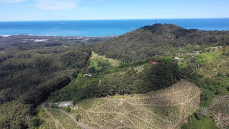 321 Gaudrons Road Sapphire Beach NSW 2450 - Image 2