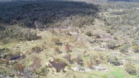 2966 Bundarra Road Inverell NSW 2360 - Image 3