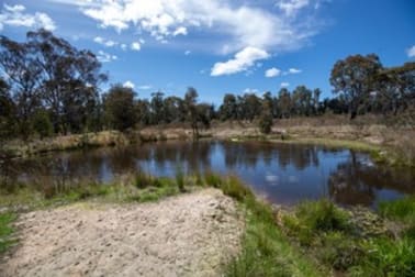 2966 Bundarra Road Inverell NSW 2360 - Image 2