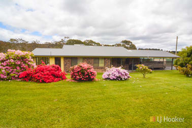 438 Thompsons Creek Road Pipers Flat NSW 2847 - Image 2
