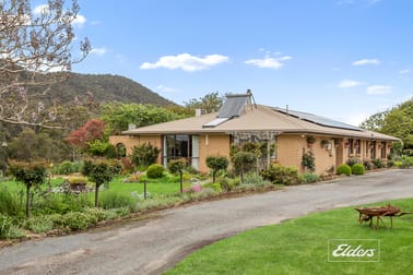 561 Holwell Road Beaconsfield TAS 7270 - Image 2