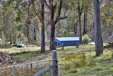 1505 Mt Speribo Road Tenterfield NSW 2372 - Image 1