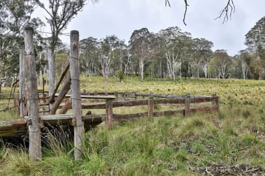 1505 Mt Speribo Road Tenterfield NSW 2372 - Image 3