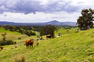 245 Croziers Road Jaspers Brush NSW 2535 - Image 2