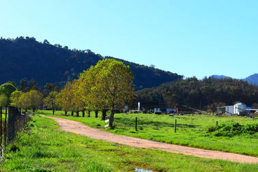 1124 WARKTON ROAD Coonabarabran NSW 2357 - Image 3