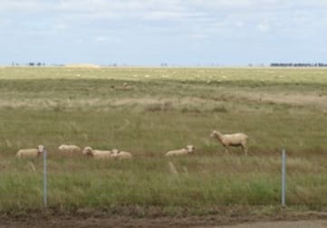 Barham Road Deniliquin NSW 2710 - Image 3