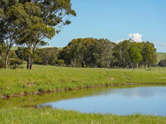 Corner Glenelg Highway & Den Hills Road Coleraine VIC 3315 - Image 2