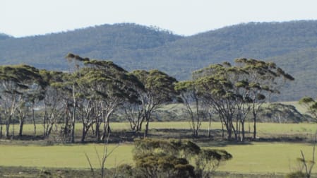 Lot 2 South Coast Highway Ravensthorpe WA 6346 - Image 2