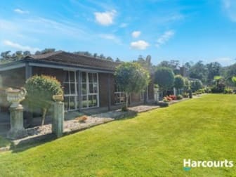 70 Terrys Hill Road Goshen TAS 7216 - Image 1