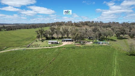 725 Rob Roy Road Inverell NSW 2360 - Image 1