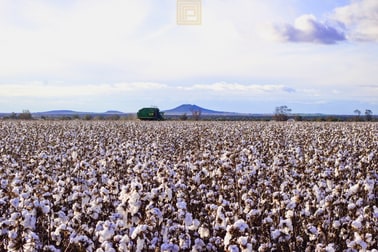 Click to view all images 746 Mellburra Road Narrabri NSW 2390 - Image 1