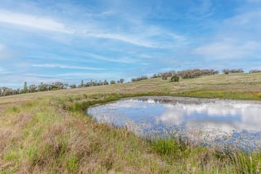 37 Lyons Road Lyndhurst NSW 2797 - Image 2