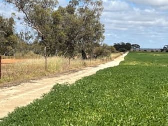 . 'Solitude Farm' Trayning WA 6488 - Image 3