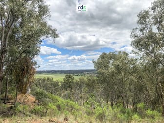 2321 Ashford Rd Inverell NSW 2360 - Image 3