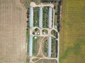 1058 Mallala Road Korunye SA 5502 - Image 2