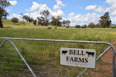 'Bell Farms' 621 Naroogal Road Wellington NSW 2820 - Image 3
