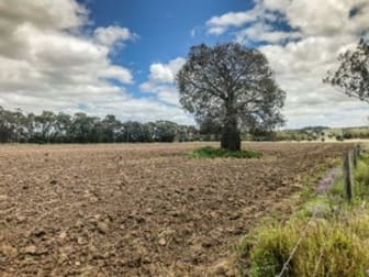 421 Quinalow-Woodleigh Road Maclagan QLD 4352 - Image 3