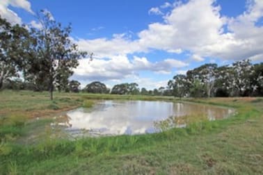 782 Floods Road Dululu QLD 4702 - Image 2