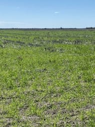 1195 Mercadool Road Walgett NSW 2832 - Image 1