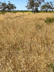 1195 Mercadool Road Walgett NSW 2832 - Image 3