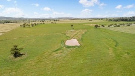 "Peppertree" 434 Soldiers Settlement Road, Bective Tamworth NSW 2340 - Image 2