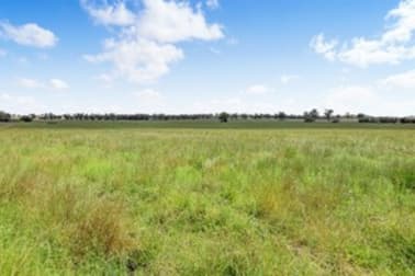 "Peppertree" 434 Soldiers Settlement Road, Bective Tamworth NSW 2340 - Image 3