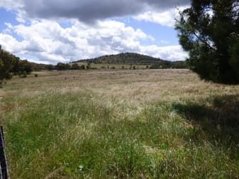 3134 Olympic Highway Bethungra NSW 2590 - Image 3