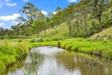 327 Cranky Corner Road North Glendon Brook NSW 2330 - Image 3