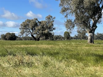 Lot 992 Holbrook Wagga Road Cookardinia NSW 2650 - Image 2