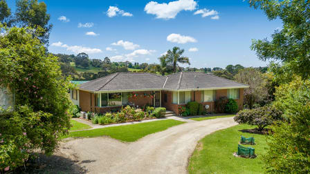 43 Thomas Road Red Hill South VIC 3937 - Image 2