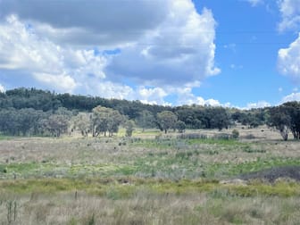 Pine Creek 3461 Wyuna Road, Mullaley via Gunnedah NSW 2380 - Image 2