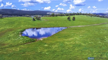 1, 5600 Northern Highway Tooborac VIC 3522 - Image 1