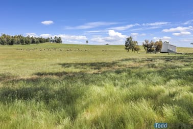 1, 5600 Northern Highway Tooborac VIC 3522 - Image 3