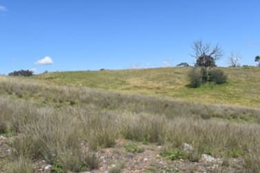 1268 Neurea Road Mumbil NSW 2820 - Image 3