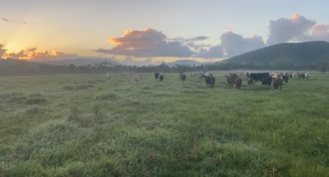Mount Ossa QLD 4741 - Image 1