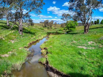 5269-5323 Castlereagh Highway Round Swamp NSW 2846 - Image 3