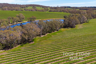 727/ Tanunda Creek Road Flaxman Valley SA 5235 - Image 3