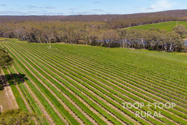 727/ Tanunda Creek Road Flaxman Valley SA 5235 - Image 1