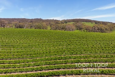 727/ Tanunda Creek Road Flaxman Valley SA 5235 - Image 2