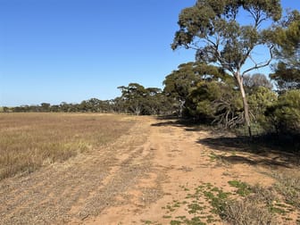 . Lot 226 Mulji Road Koorda WA 6475 - Image 3